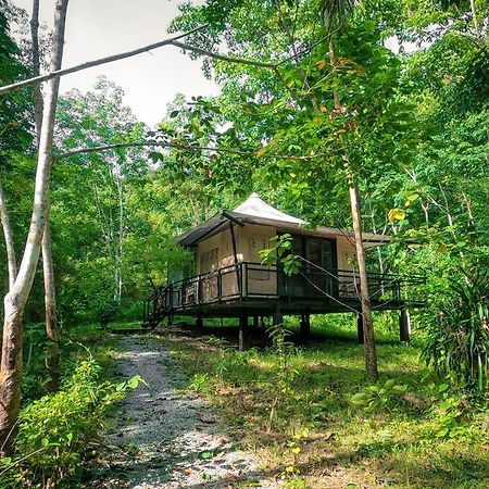 Anurak Community Lodge - Sha Plus Khao Sok National Park 외부 사진
